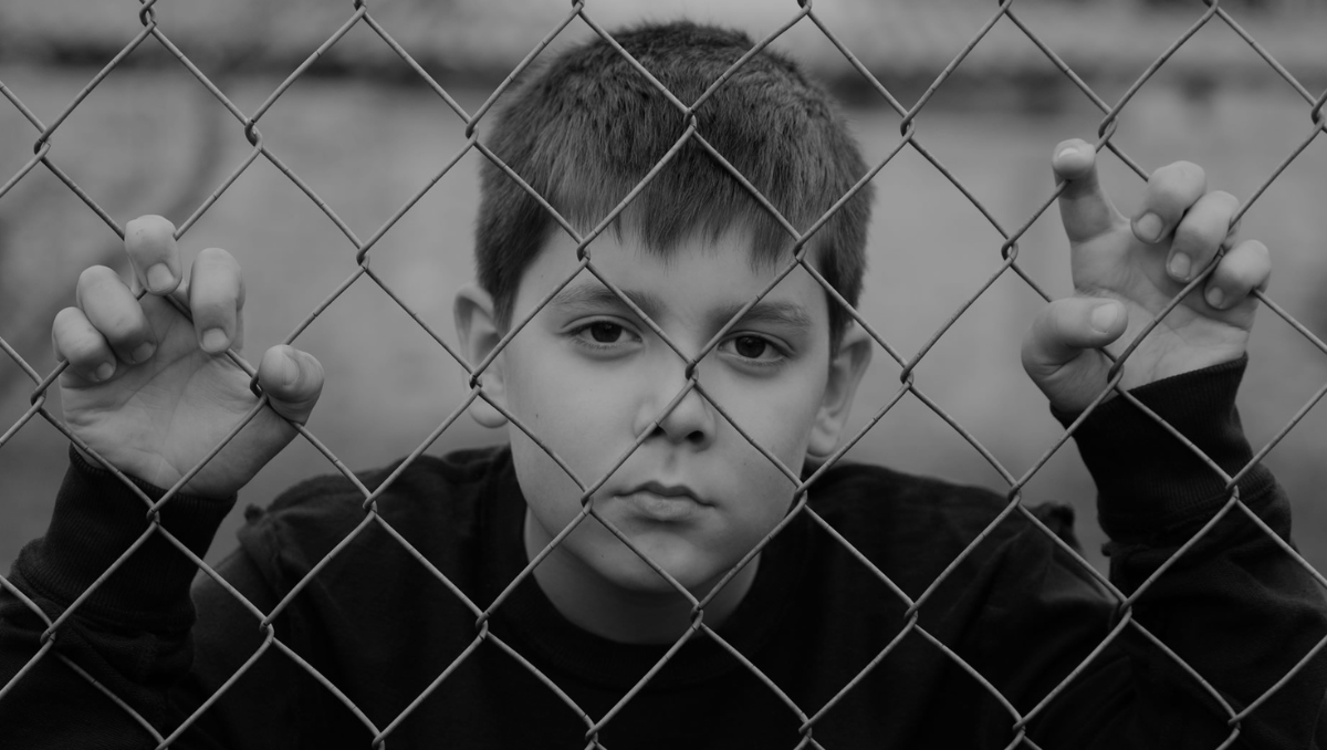 260 DAYS - featured image